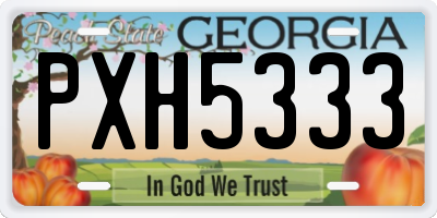 GA license plate PXH5333