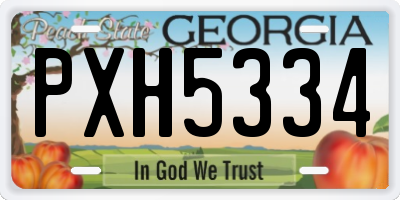 GA license plate PXH5334