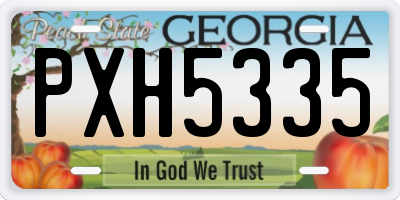 GA license plate PXH5335
