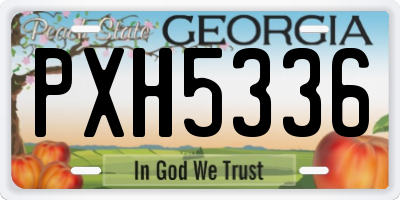 GA license plate PXH5336