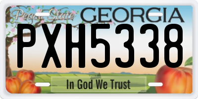 GA license plate PXH5338