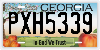 GA license plate PXH5339