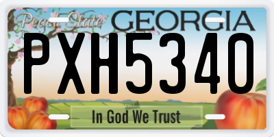 GA license plate PXH5340