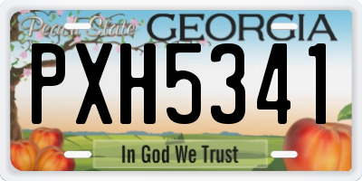 GA license plate PXH5341