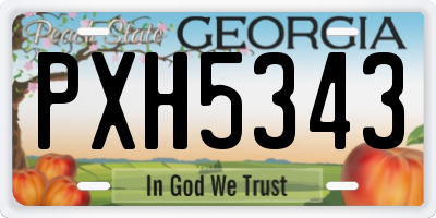 GA license plate PXH5343
