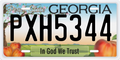 GA license plate PXH5344