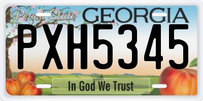 GA license plate PXH5345