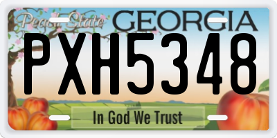 GA license plate PXH5348
