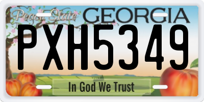 GA license plate PXH5349
