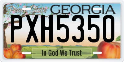 GA license plate PXH5350