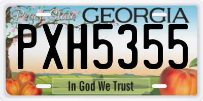 GA license plate PXH5355