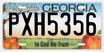 GA license plate PXH5356