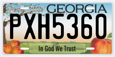GA license plate PXH5360