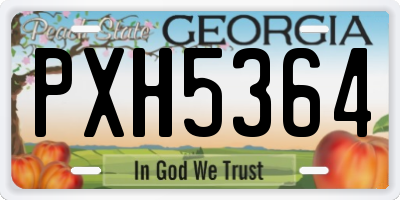 GA license plate PXH5364