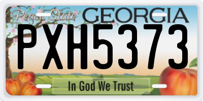 GA license plate PXH5373