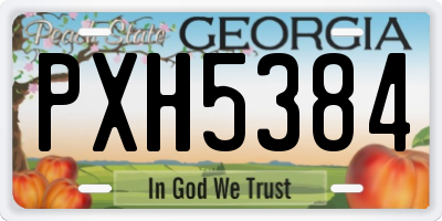 GA license plate PXH5384