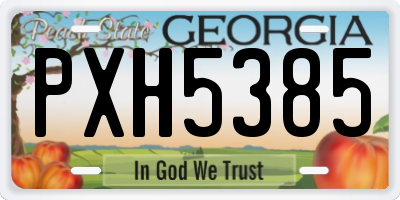 GA license plate PXH5385