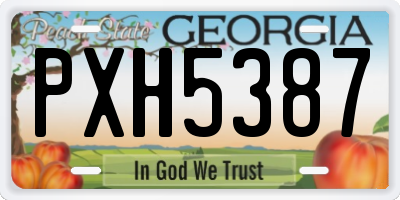 GA license plate PXH5387