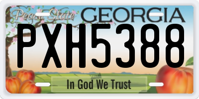 GA license plate PXH5388