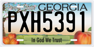 GA license plate PXH5391