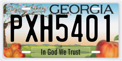 GA license plate PXH5401