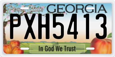 GA license plate PXH5413