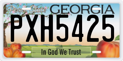 GA license plate PXH5425