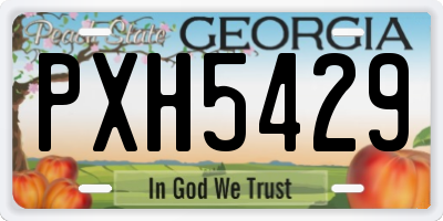 GA license plate PXH5429