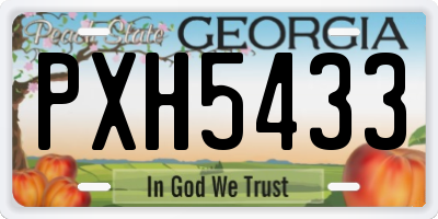 GA license plate PXH5433