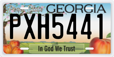 GA license plate PXH5441