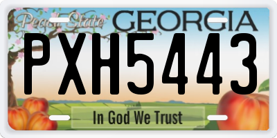 GA license plate PXH5443