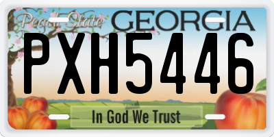 GA license plate PXH5446