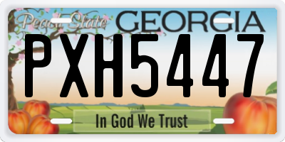 GA license plate PXH5447