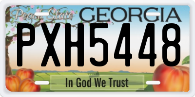 GA license plate PXH5448