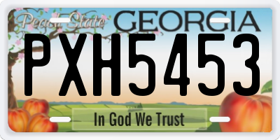 GA license plate PXH5453