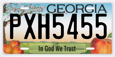 GA license plate PXH5455