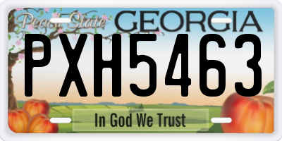 GA license plate PXH5463