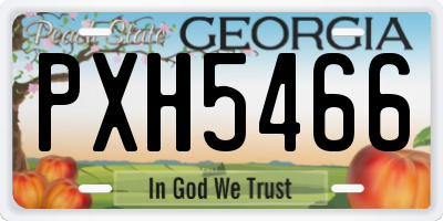GA license plate PXH5466