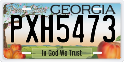 GA license plate PXH5473