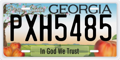 GA license plate PXH5485