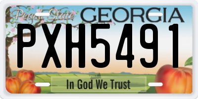 GA license plate PXH5491