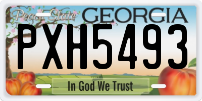 GA license plate PXH5493