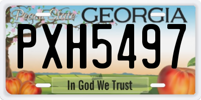 GA license plate PXH5497