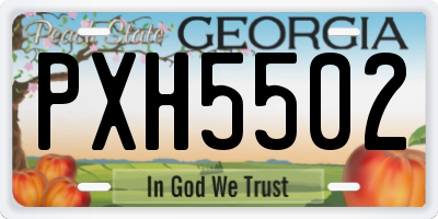GA license plate PXH5502