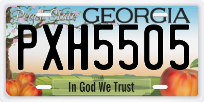 GA license plate PXH5505