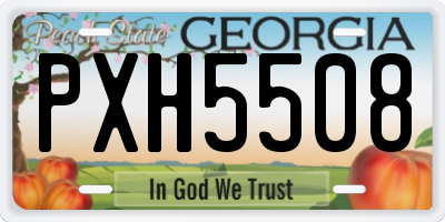 GA license plate PXH5508