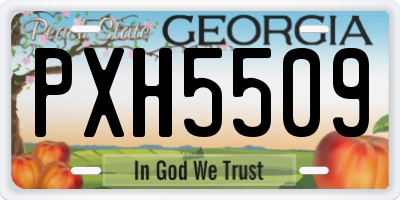 GA license plate PXH5509
