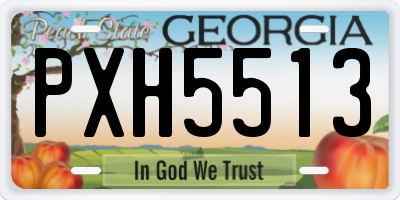 GA license plate PXH5513