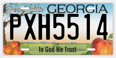 GA license plate PXH5514