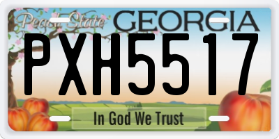 GA license plate PXH5517